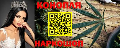 гидропоника Нальчик