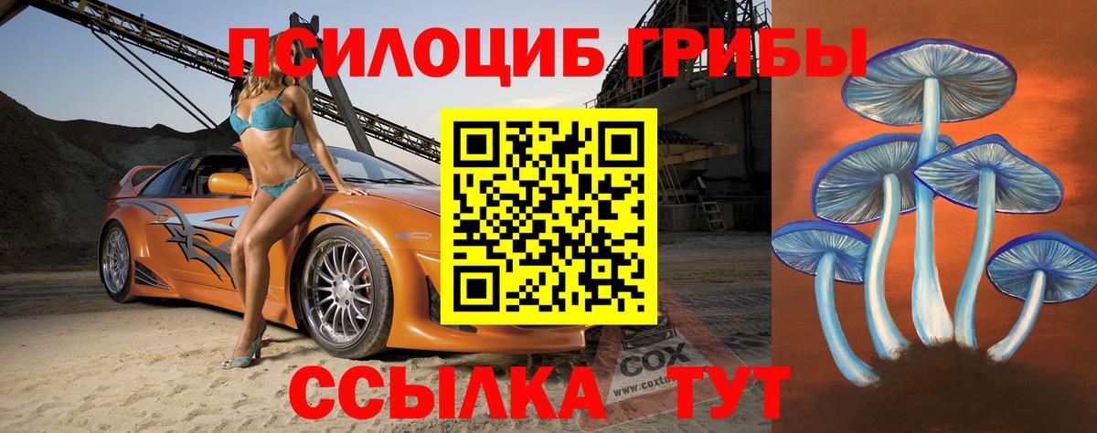 Галлюциногенные грибы Cubensis Тосно